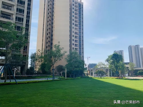 大開眼界 城北明星盤做得很走心,這才是真正的匠心產品